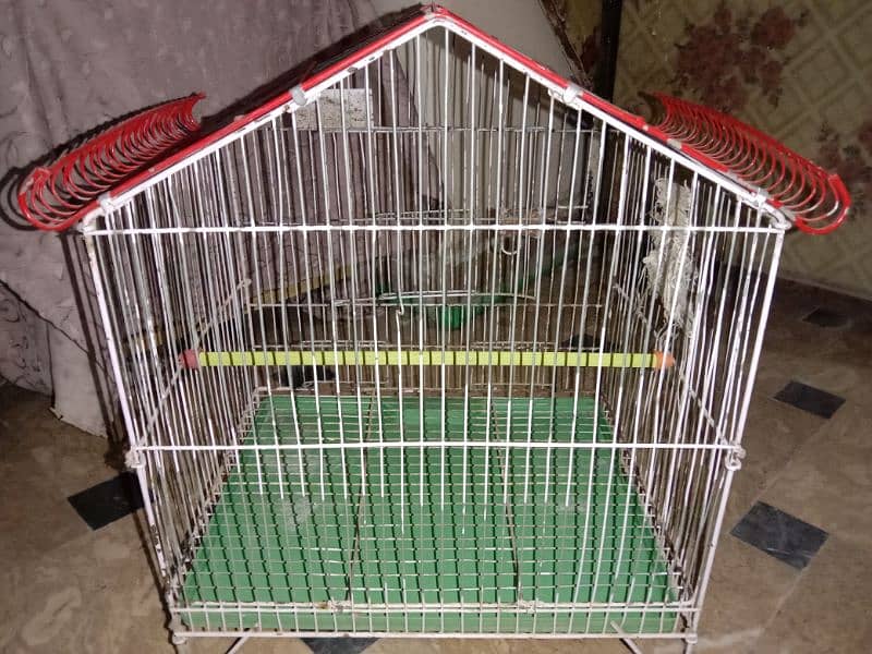 Bird's Cage 2