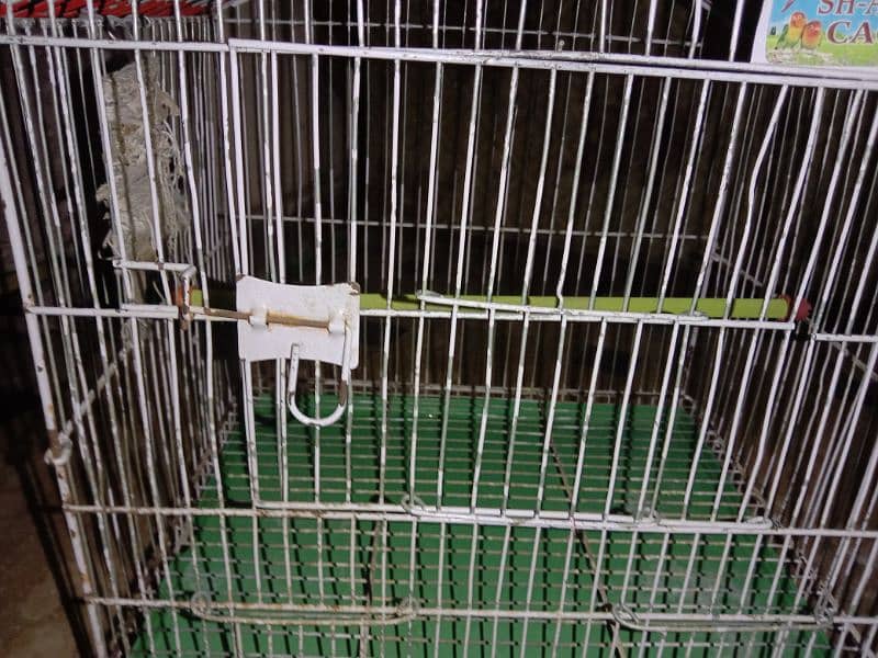 Bird's Cage 6