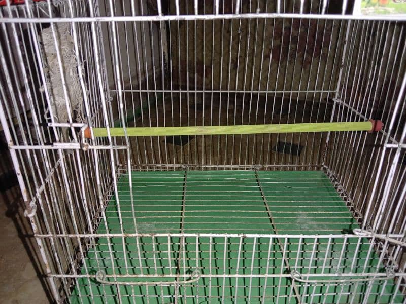 Bird's Cage 7