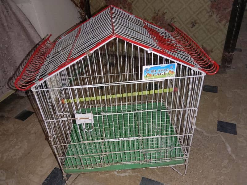 Bird's Cage 8