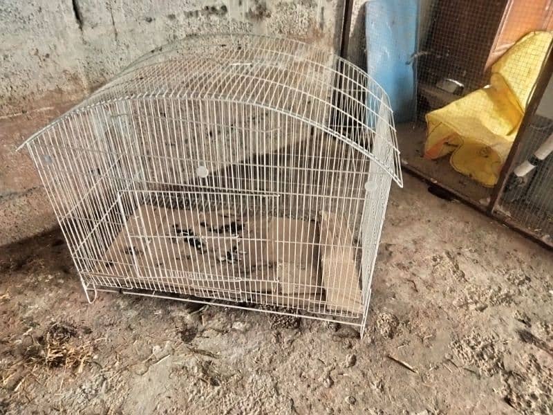 Cat cage - Parrot cage - Teetar cage - Bird cage 2