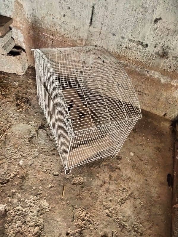 Cat cage - Parrot cage - Teetar cage - Bird cage 3