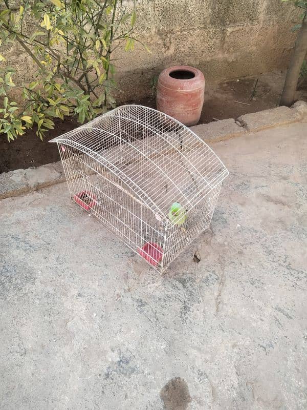 Cat cage - Parrot cage - Teetar cage - Bird cage 4