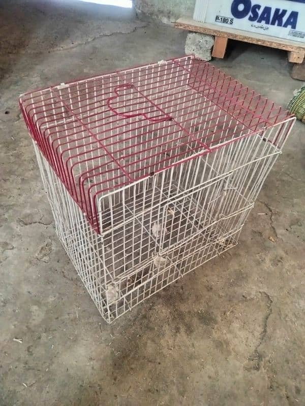 Cat cage - Parrot cage - Teetar cage - Bird cage 5