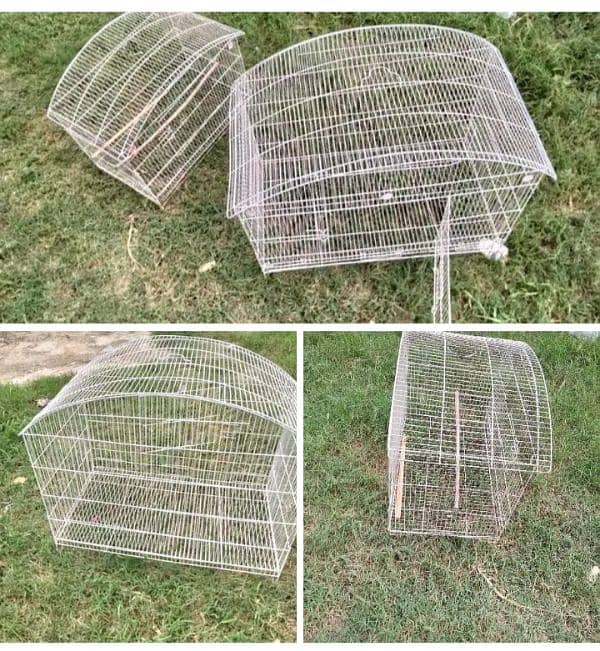 Cat cage - Parrot cage - Teetar cage - Bird cage 8