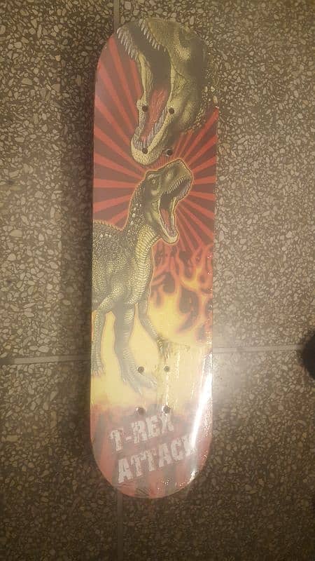 brand new skateboard 2