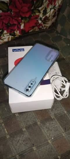 vivo