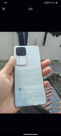 vivo