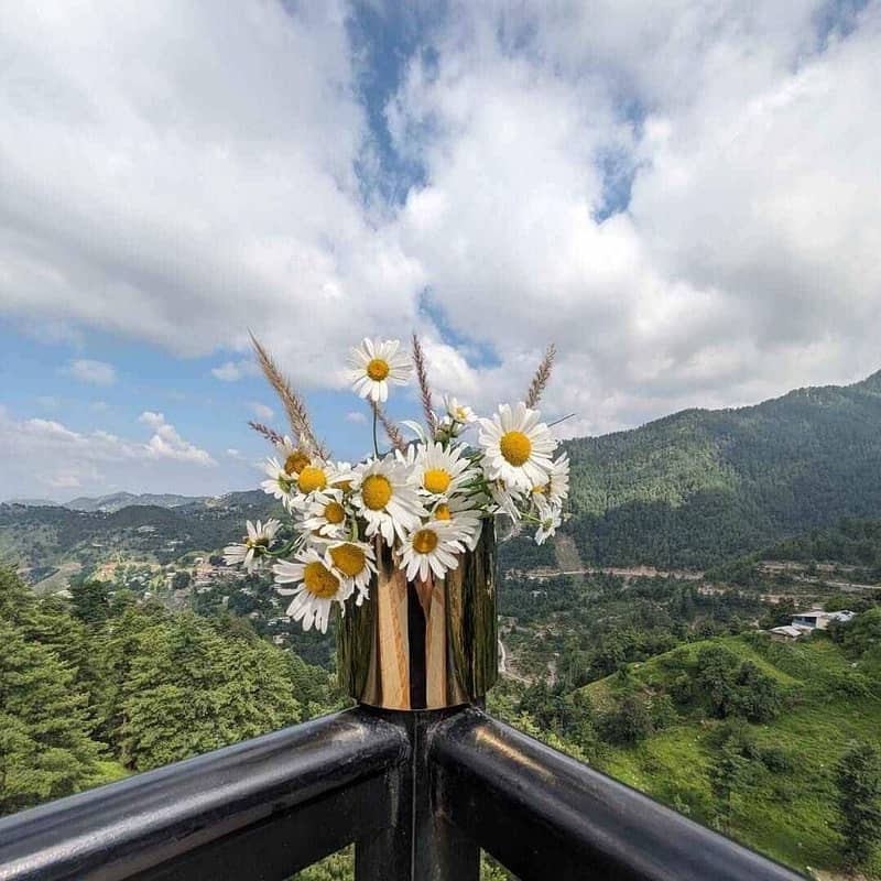 Stainless Steel and Golden Steel Planter Pot and Vases 5