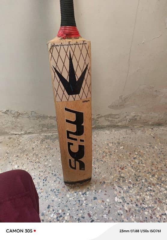 bat for sale 1