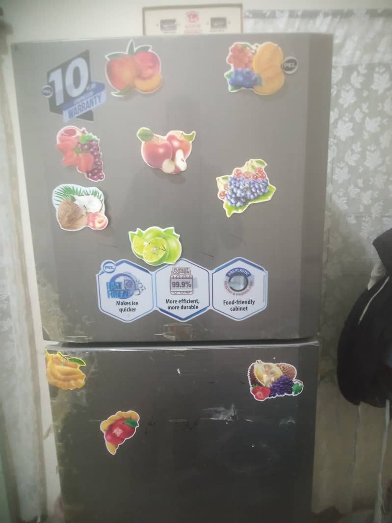 PEL LIFE REFRIGERATOR with Stablizer 2