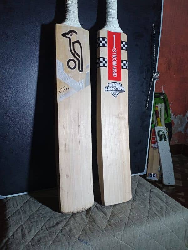 English willow hard ball bat 2