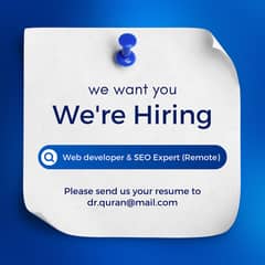 Web Developer & SEO Expert (Remote)