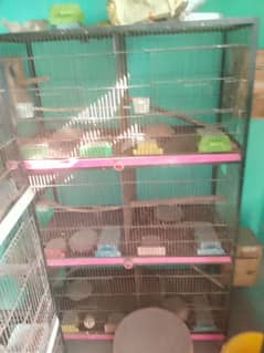 Cages For sale