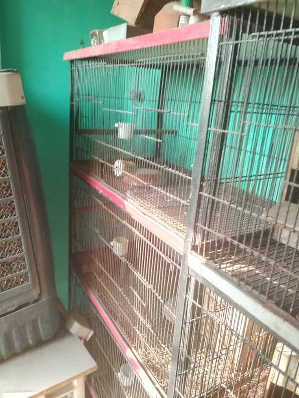 Cages For sale 3