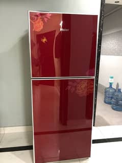 Haier Big Size Fridge