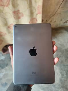 ipad mini 5