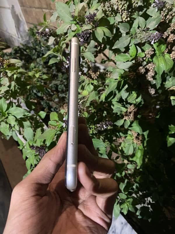 iPhone 11 nonPTA 64 gb 14