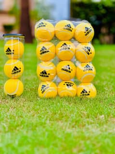 Pure Rubber Premium Quality Tennis Ball 1 Dozen 1700