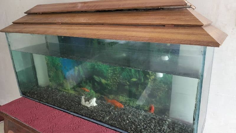 Fish aquarium for sale 1