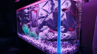 NEW 3D AQUARIUM FULL SETUP FOR SALE.