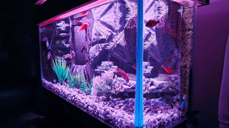 NEW 3D AQUARIUM FULL SETUP FOR SALE. 3