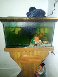 fish box or 3fishe or air panmp03099511416