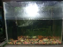 Aquarium For Sale (2 feet). .