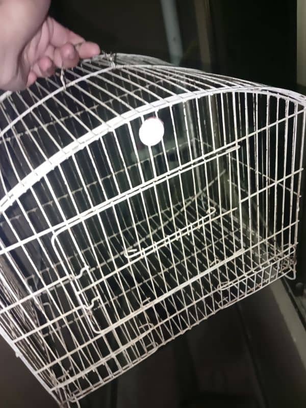 bird cages for sale 2