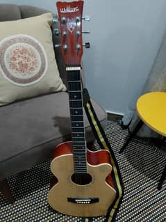 Guitar