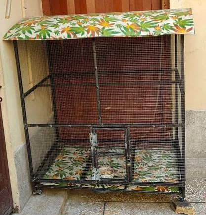 Beautiful birds cage for sale 0