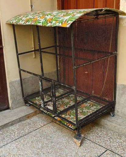 Beautiful birds cage for sale 1