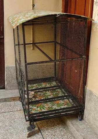 Beautiful birds cage for sale 2