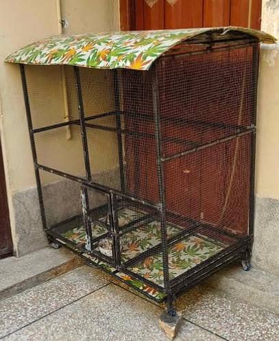 Beautiful birds cage for sale 3