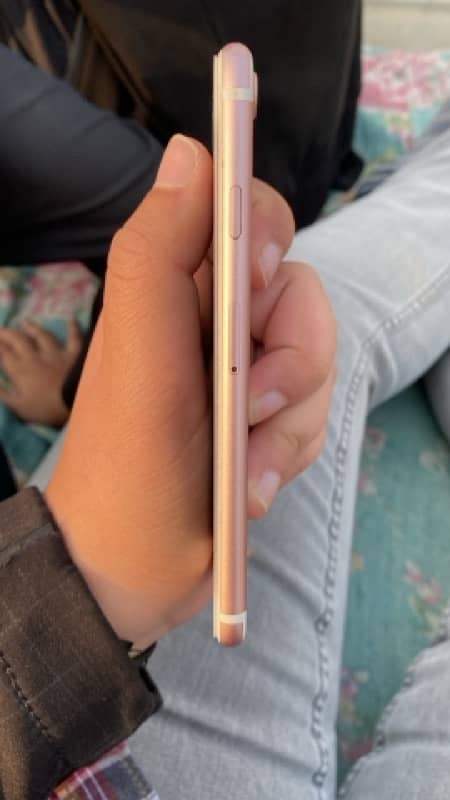 iphone 7 128gb pta approved 2