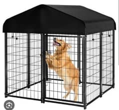 DOG Cage