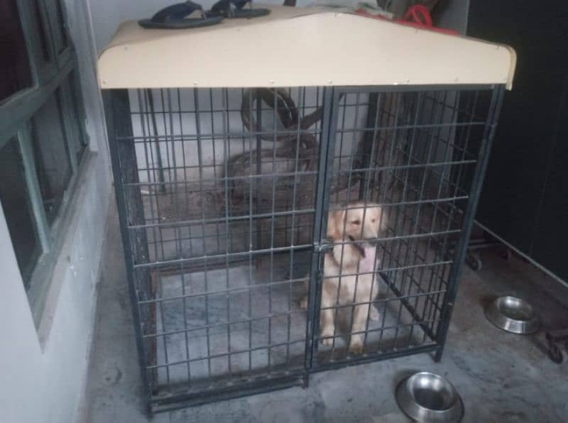 DOG Cage 1