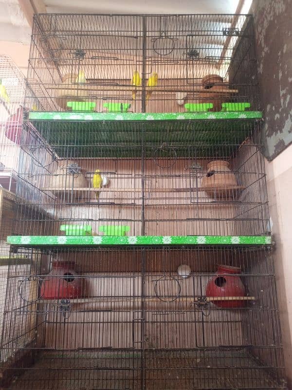 cage sell iron folding cage 14000 & wood 11000 & singal iron cage 1300 3