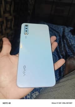 vivo