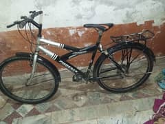 Phoenix cycle black colour