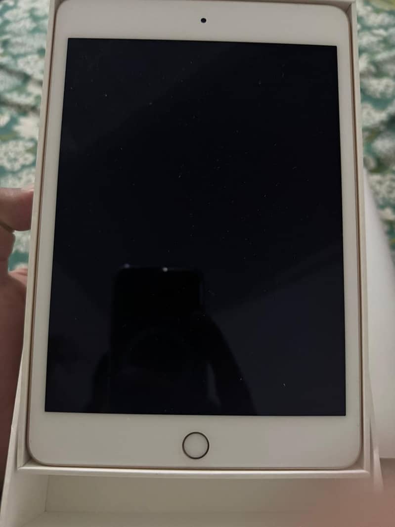 iPad Mini 5 1