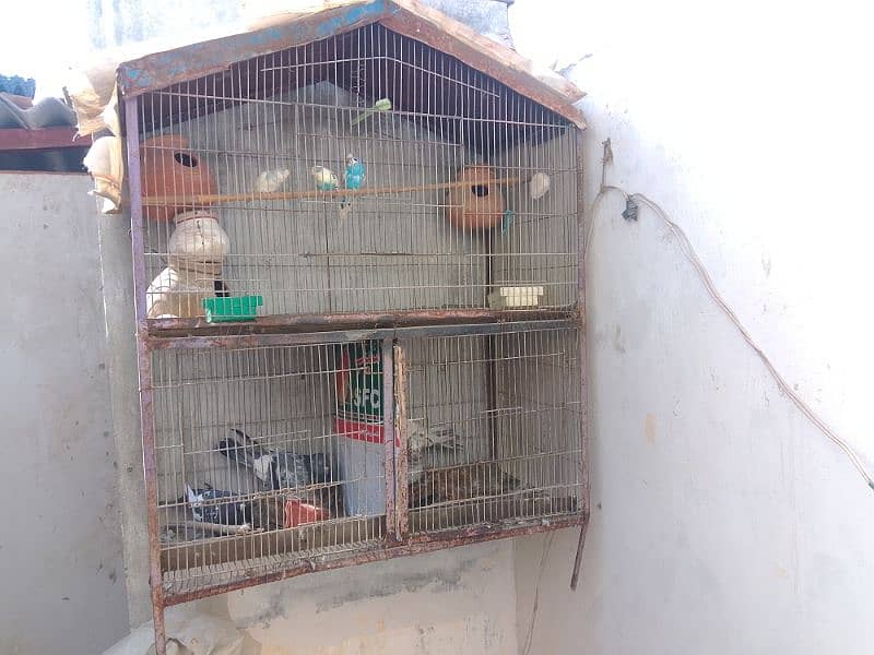 3 portion use cage  for sale 0