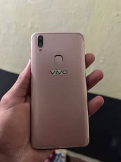 vivo