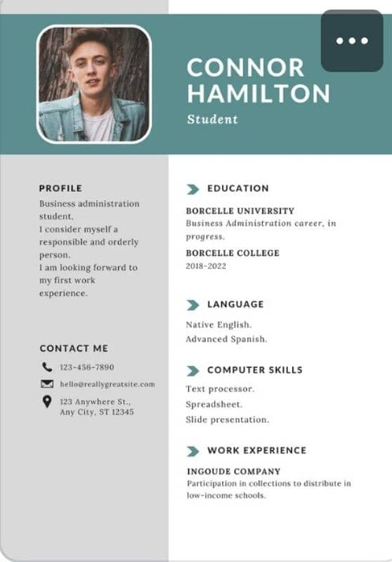 Online CV/Resume Maker 2