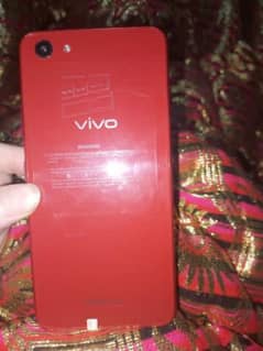 vivo