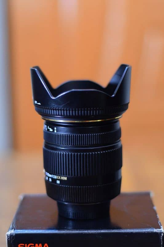 Sigma Lans 17 50  2.8mm Nikon Mount 5