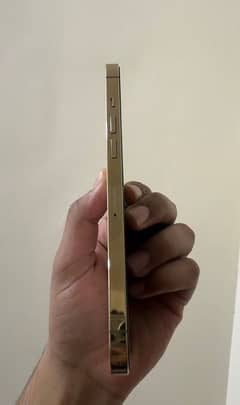 iphone 12pro max 256gb pta approved