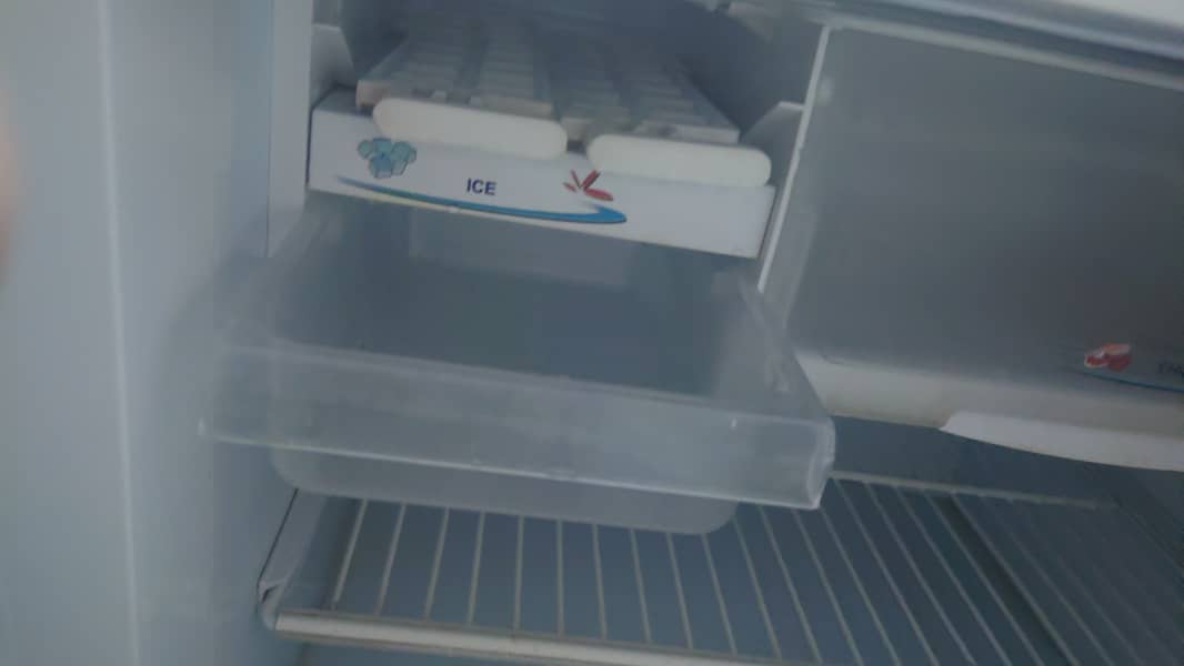 Pel full size fridge all ok 6