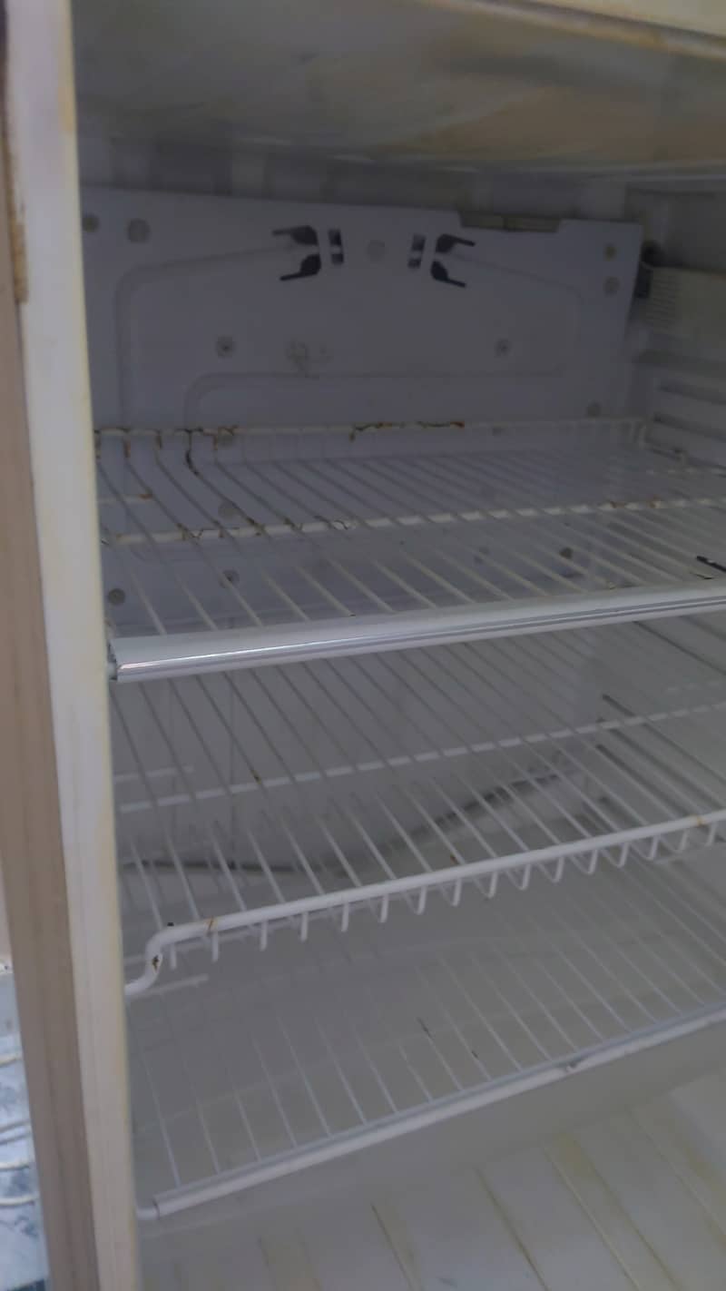 Pel full size fridge all ok 8