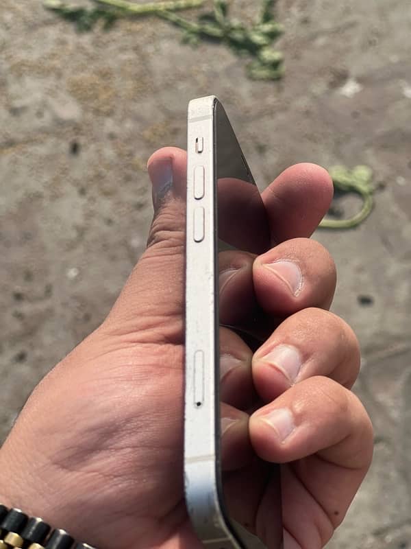 IPhone 12 Mini 5